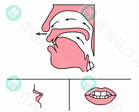 普通话水平测试,普通话考试,普通话报名官网,普通话成绩查询,普通话,普通话发音矫正,普通话等级